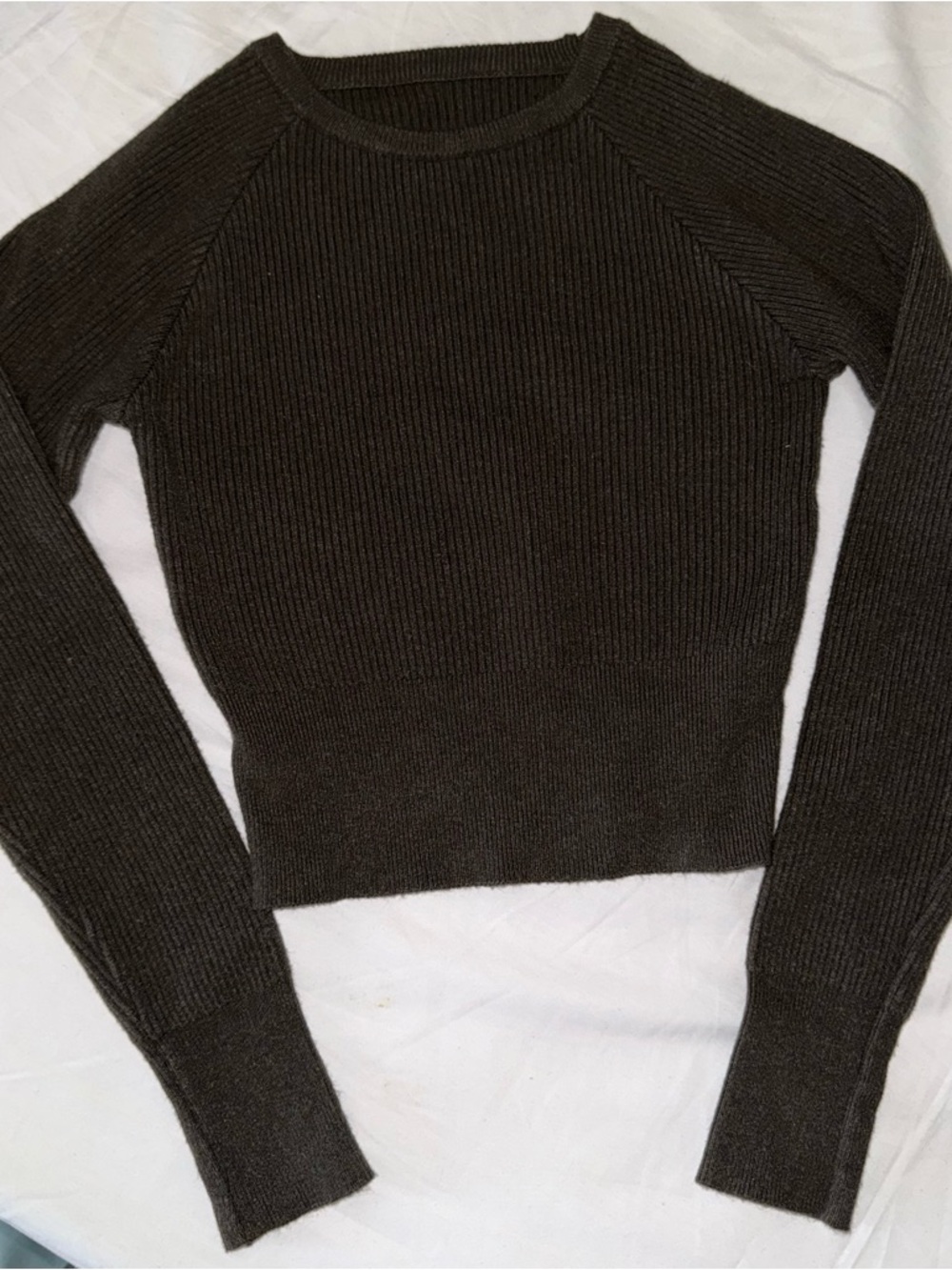 Ribbed Crewneck Crop Top in Olive Brown